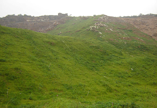 礦山生態(tài)環(huán)境治理