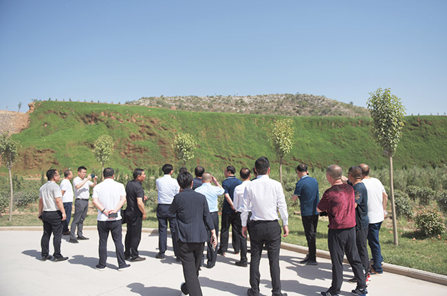 了解礦山修復及環境治理情況